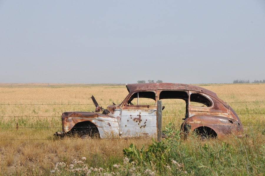 A rusty car in a field crop 